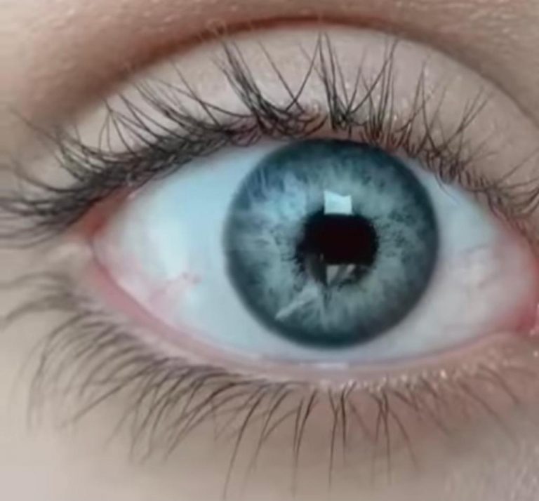لنز چشم رنگی طوسی مطلق با رگه های مثل چشم 1eye lens gray